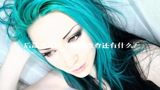 后端开发除了增删改查还有什么？
