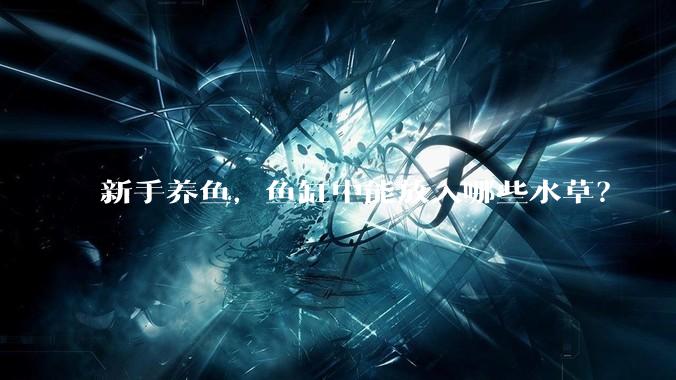 新手养鱼，鱼缸中能放入哪些水草？