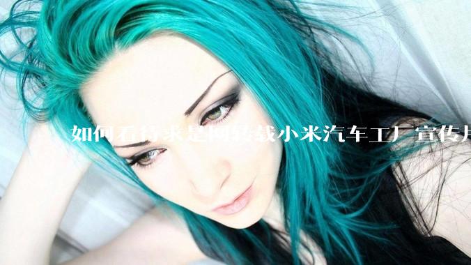 如何看待求是网转载小米汽车工厂宣传片？