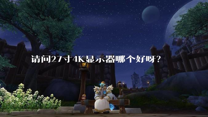 请问27寸4K显示器哪个好呀？