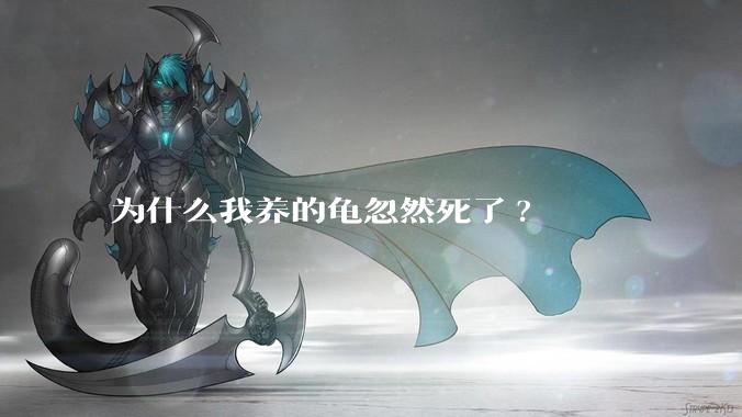 为什么我养的龟忽然死了?